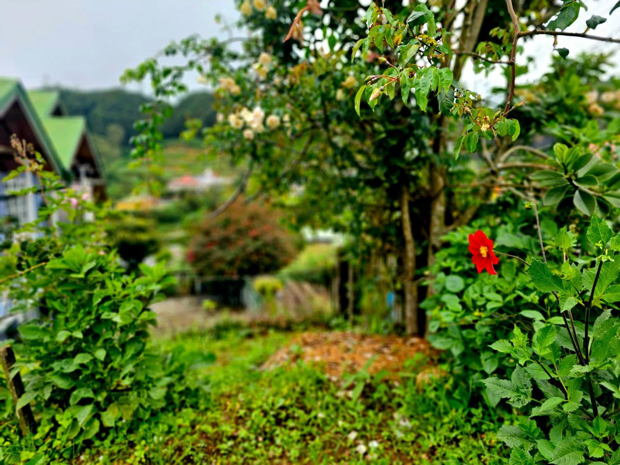 Haven Backpackers Hostel Nuwara Eliya Exterior foto