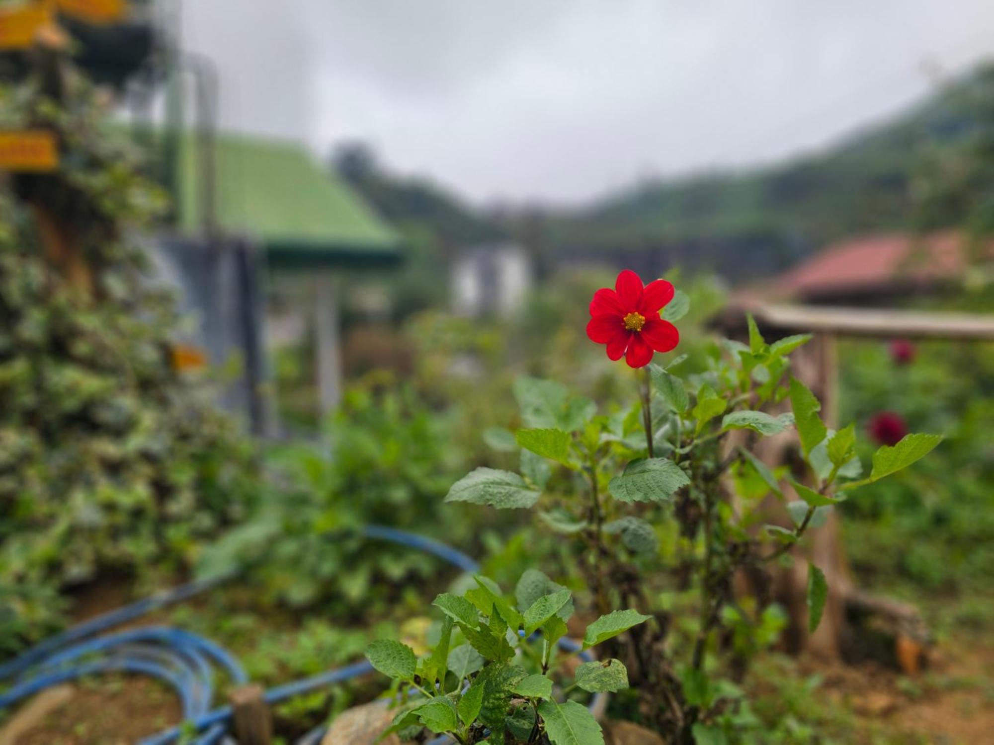 Haven Backpackers Hostel Nuwara Eliya Exterior foto