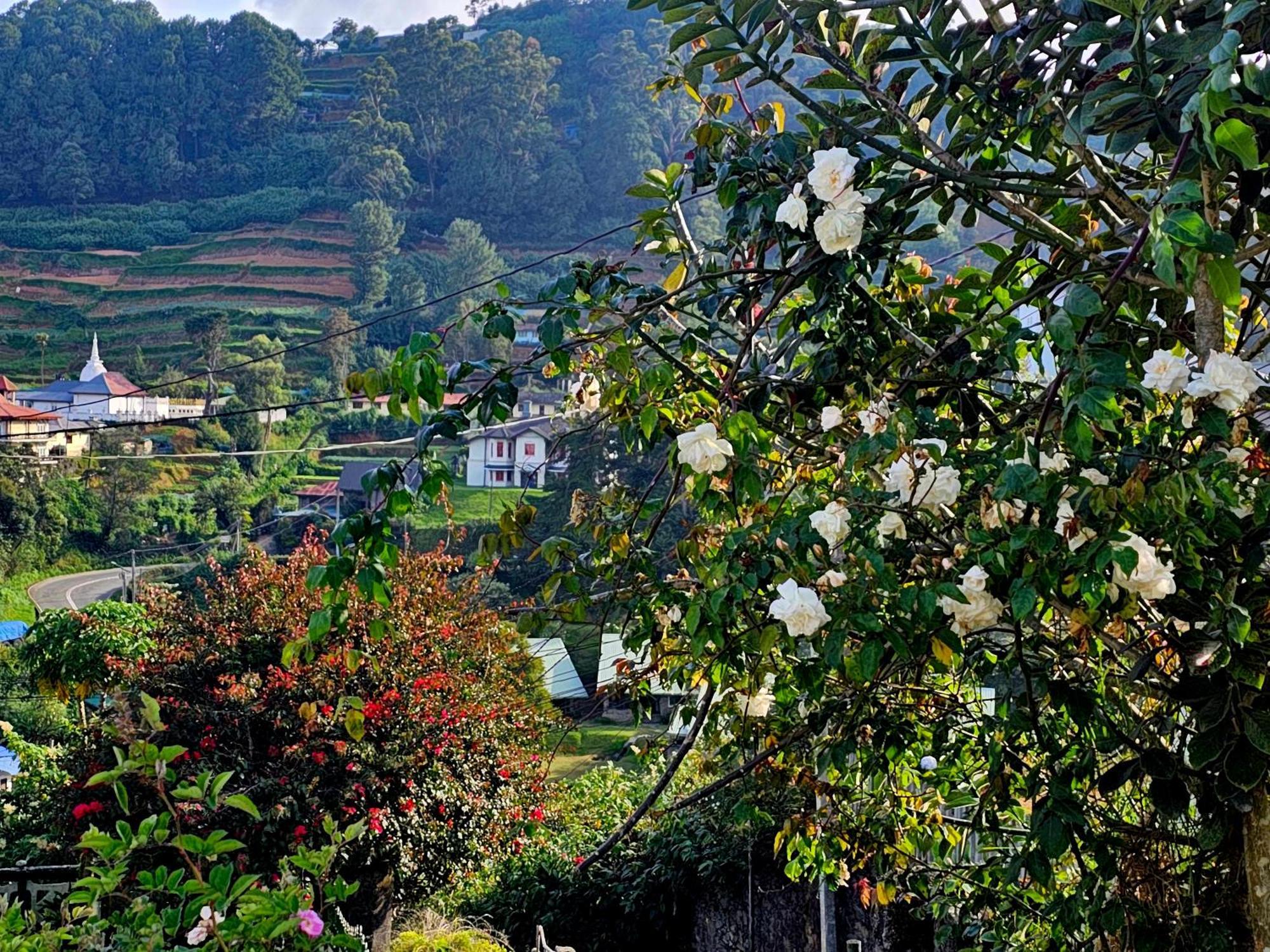 Haven Backpackers Hostel Nuwara Eliya Exterior foto